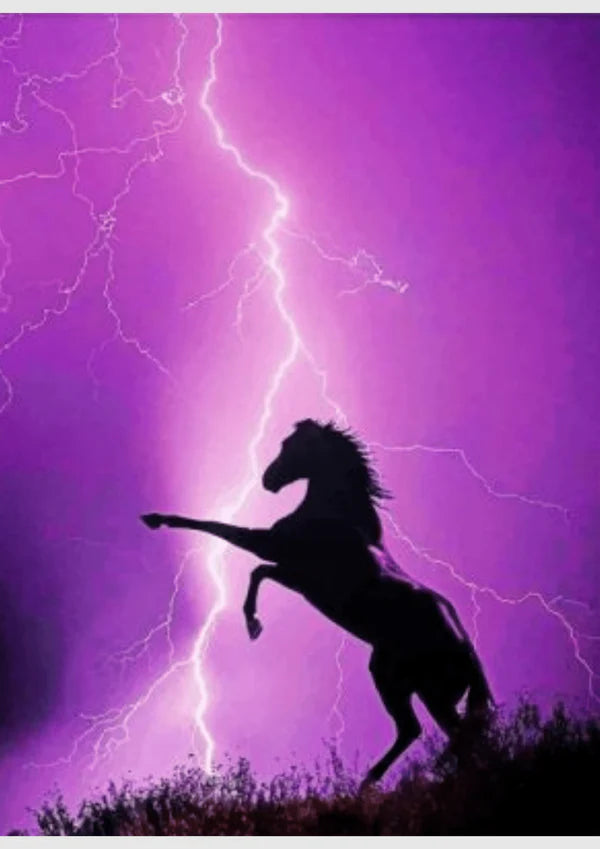 Purple Horse- Animals Diy Diamond Painting Kit